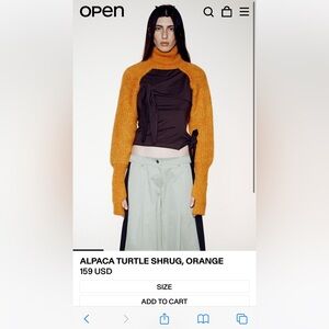 Cozy Orange Knit Sweater